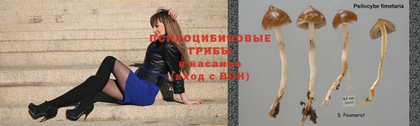 кокаин перу Алзамай