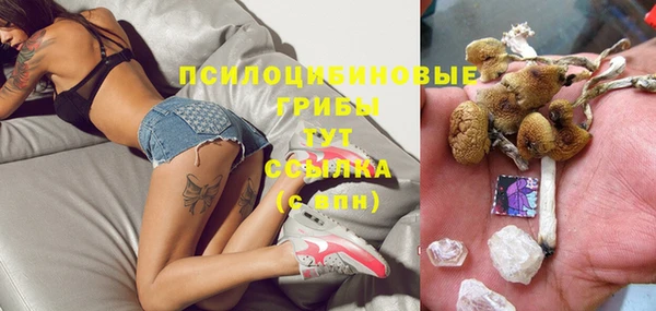 стаф Алексин