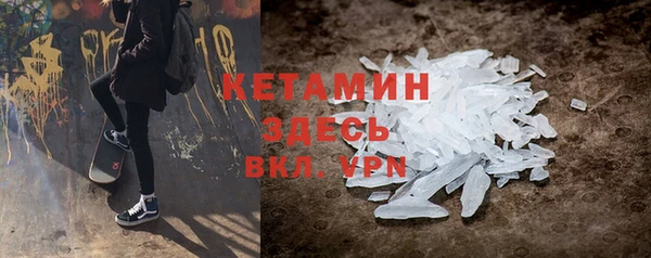 стаф Алексин