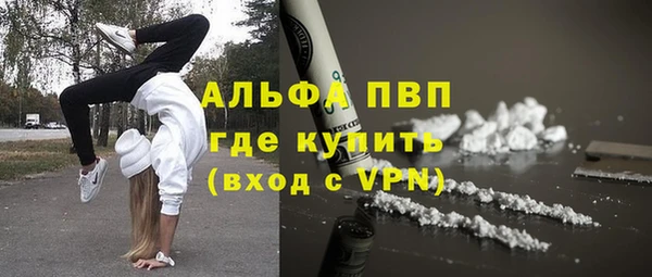 стаф Алексин