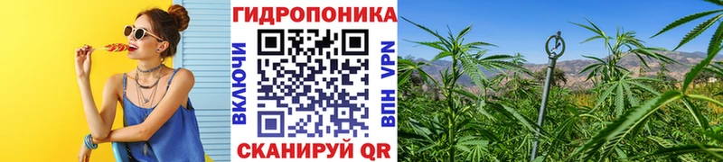 Каннабис VHQ Завитинск